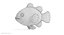Anemonenfisch