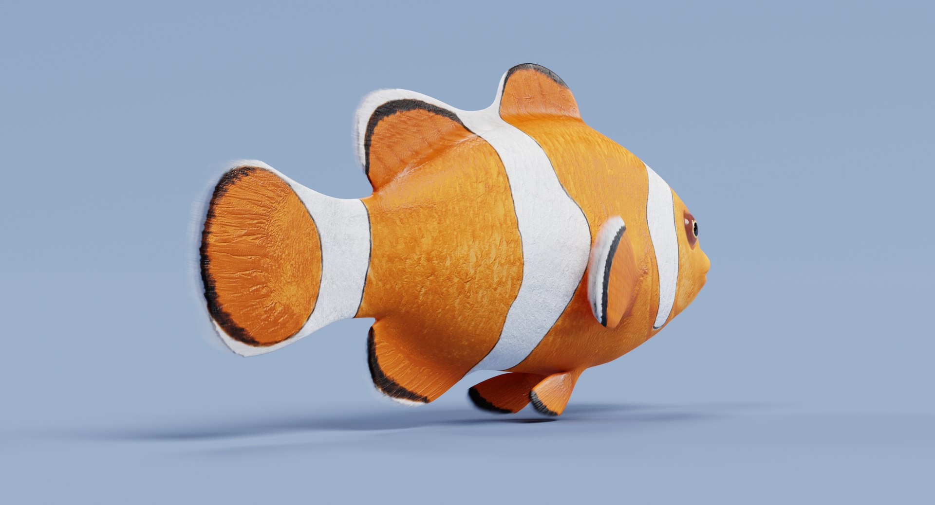 clownfish amphiprion ocellaris 3D https://p.turbosquid.com/ts-thumb/K4/3our3b/fv3p902B/clownfishf/png/1516371267/1920x1080/fit_q87/5a70e7cdd92f53c16da55e2c89d9781f41adab01/clownfishf.jpg