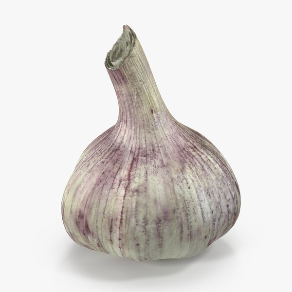 young garlic bulb 3D model