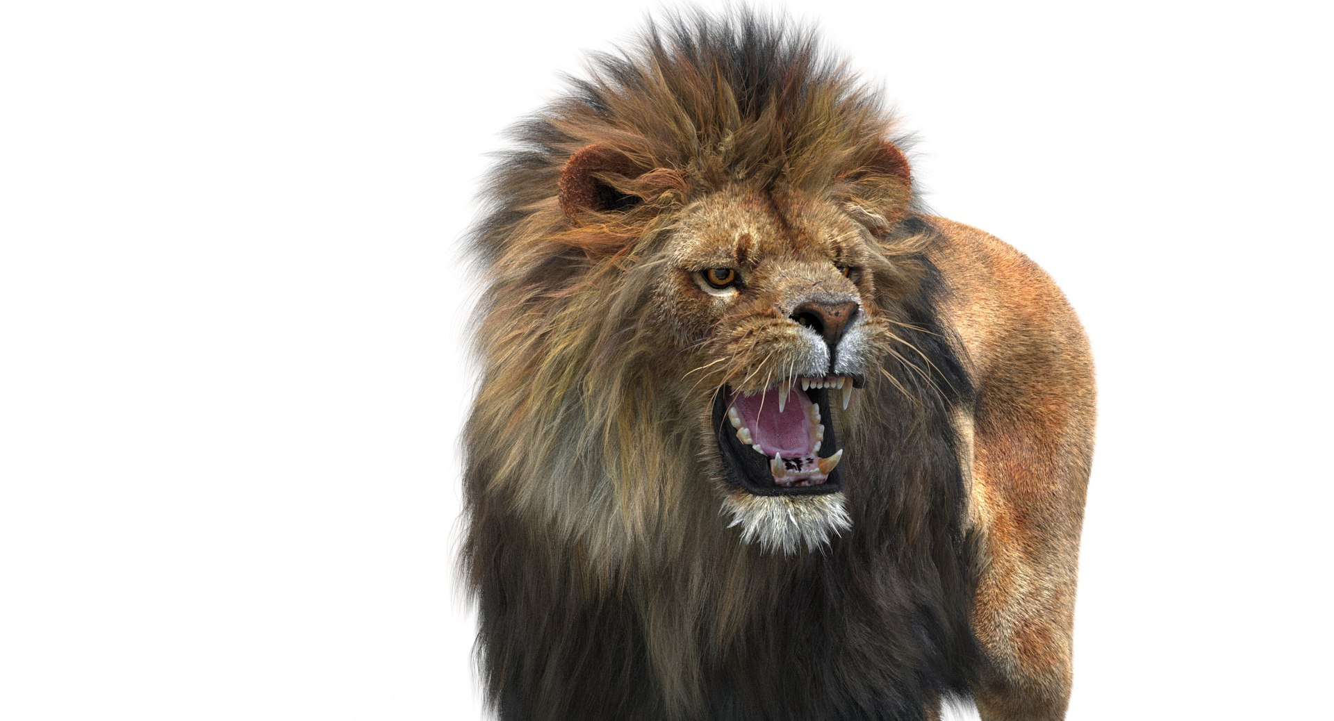 lion 2 fur rigged 3d obj