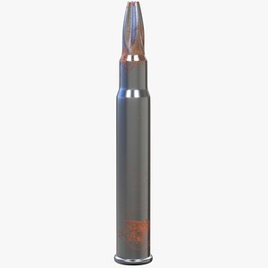 303 Drill Round