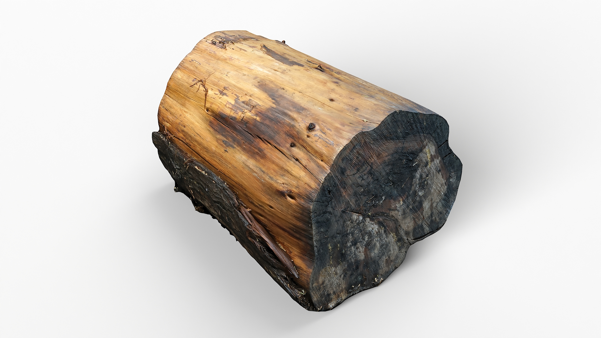 3D model Tree Stump 25 https://p.turbosquid.com/ts-thumb/K4/GNBE5b/9U/tt_/jpg/1633609697/1920x1080/turn_fit_q99/d9df42bf09b034d054f97e904f26f5ba0eb74d10/tt_-1.jpg