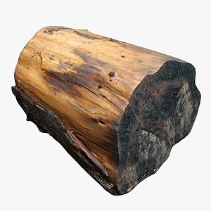 3D model Tree Stump 25