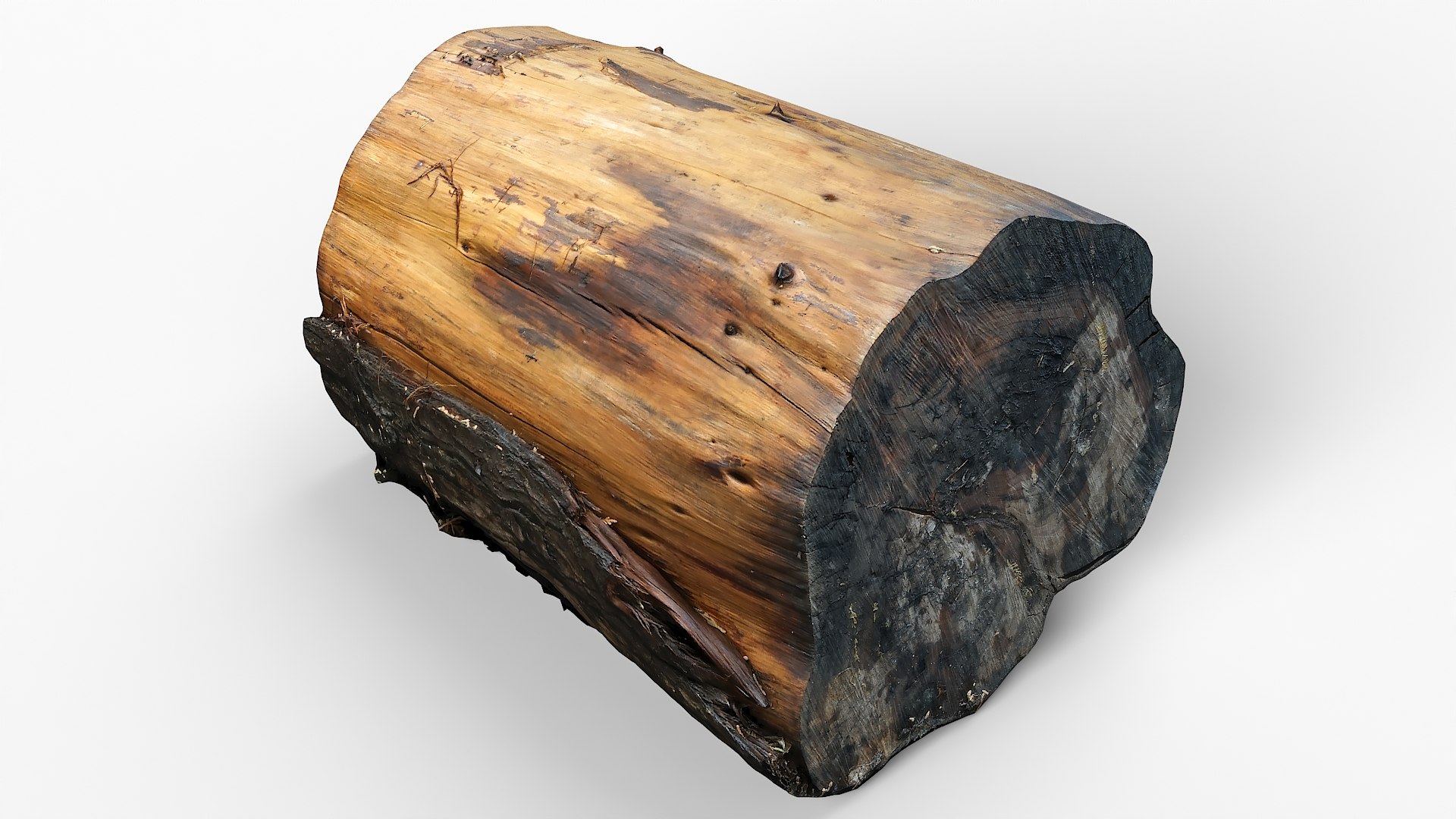 3D model Tree Stump 25 https://p.turbosquid.com/ts-thumb/K4/GNBE5b/M9/tree_stump25_03/jpg/1633609692/1920x1080/fit_q87/97b8b83033db2371e93702326aba0268a399524a/tree_stump25_03.jpg