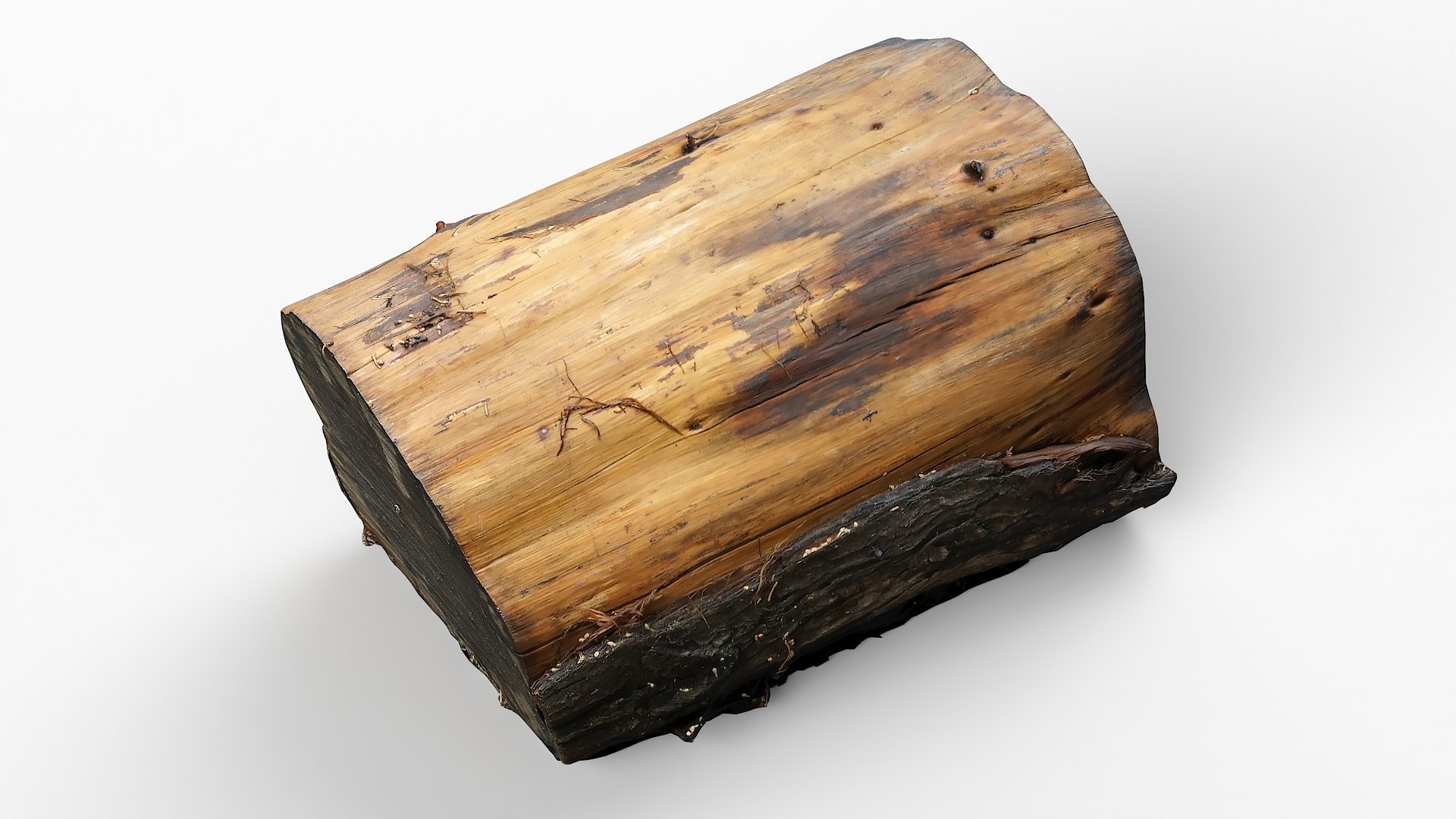 3D model Tree Stump 25 https://p.turbosquid.com/ts-thumb/K4/GNBE5b/OQ/tree_stump25_06/jpg/1633609699/1920x1080/fit_q87/7a38f9e19b54815d3f725e391ddc42cdc6ee3a96/tree_stump25_06.jpg
