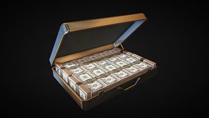 3ds briefcase cash