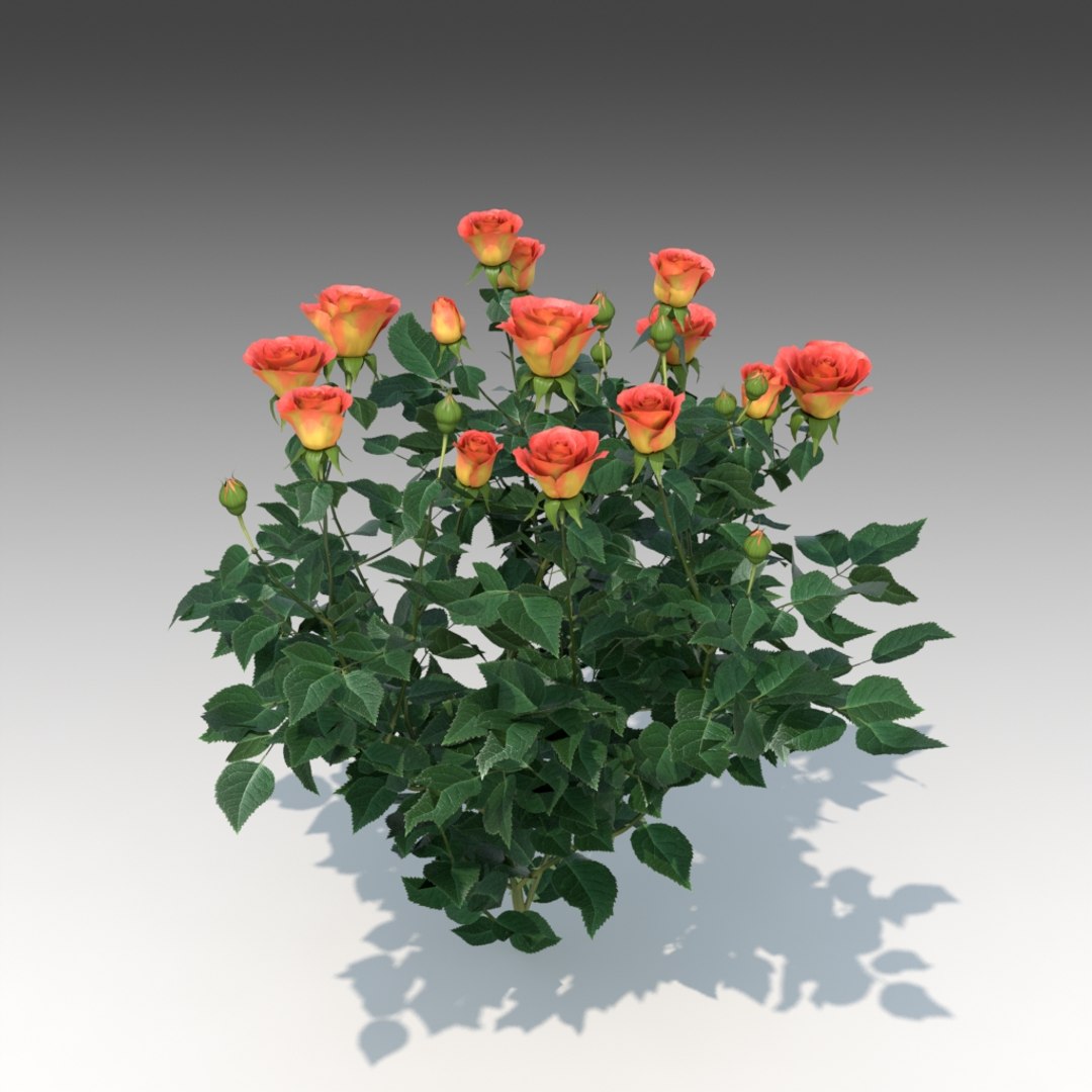 3d Flower Rose Set