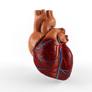 3D heart video