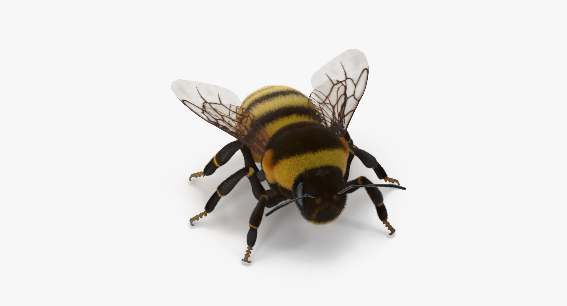 3D model bees wasps hives https://p.turbosquid.com/ts-thumb/K4/TO9fuP/7aMxcSMu/0000/jpg/1473677073/1920x1080/turn_fit_q99/dd985e87a58ac6759e822a6e7c2a10b32a8bcb71/0000-1.jpg