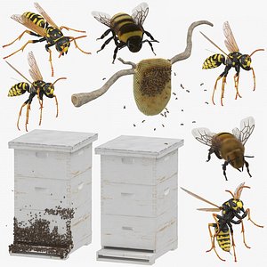Bees Wasp and Bee Hives Collection