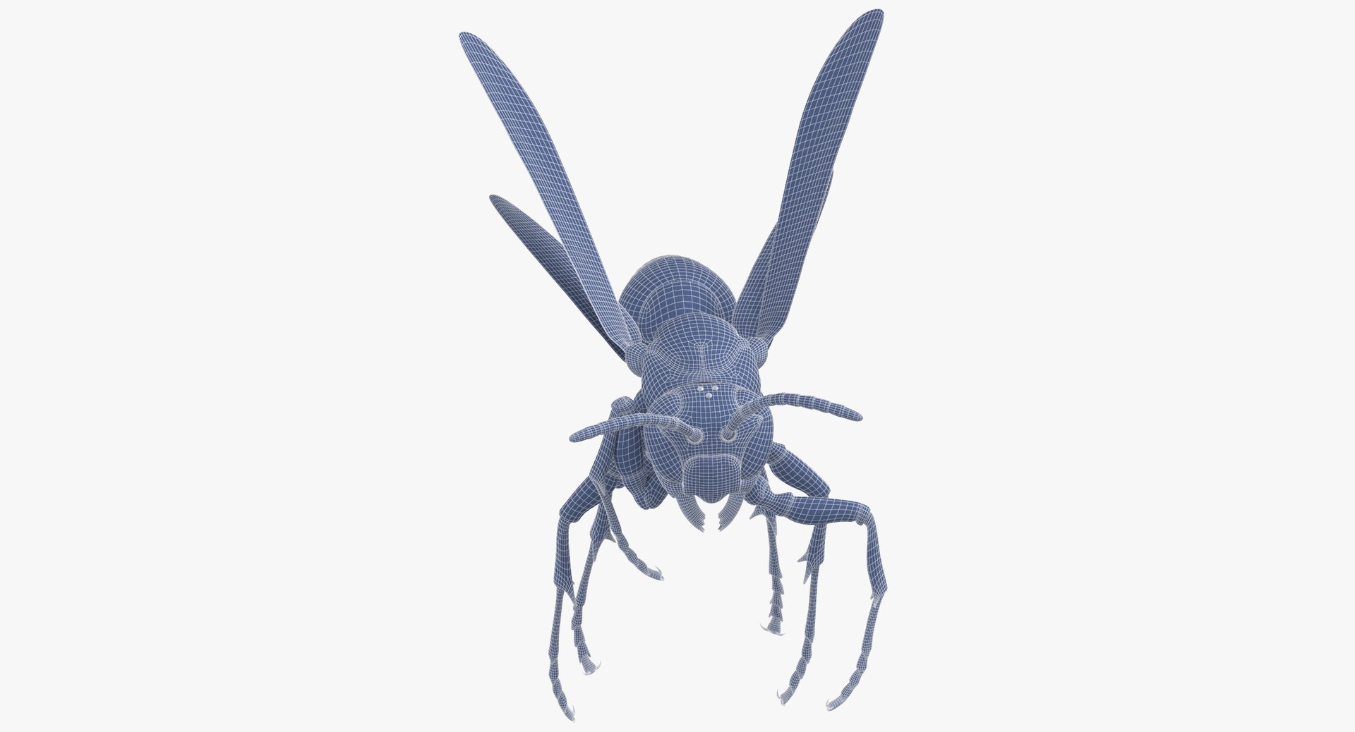 3D model bees wasps hives https://p.turbosquid.com/ts-thumb/K4/TO9fuP/p67G8Nmx/paper_wasp_rigged_wireframe_01_0004/jpg/1553171541/1920x1080/fit_q87/95801c9fb6c3d925c396297df12faac713474a04/paper_wasp_rigged_wireframe_01_0004.jpg