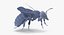 3D model bees wasps hives