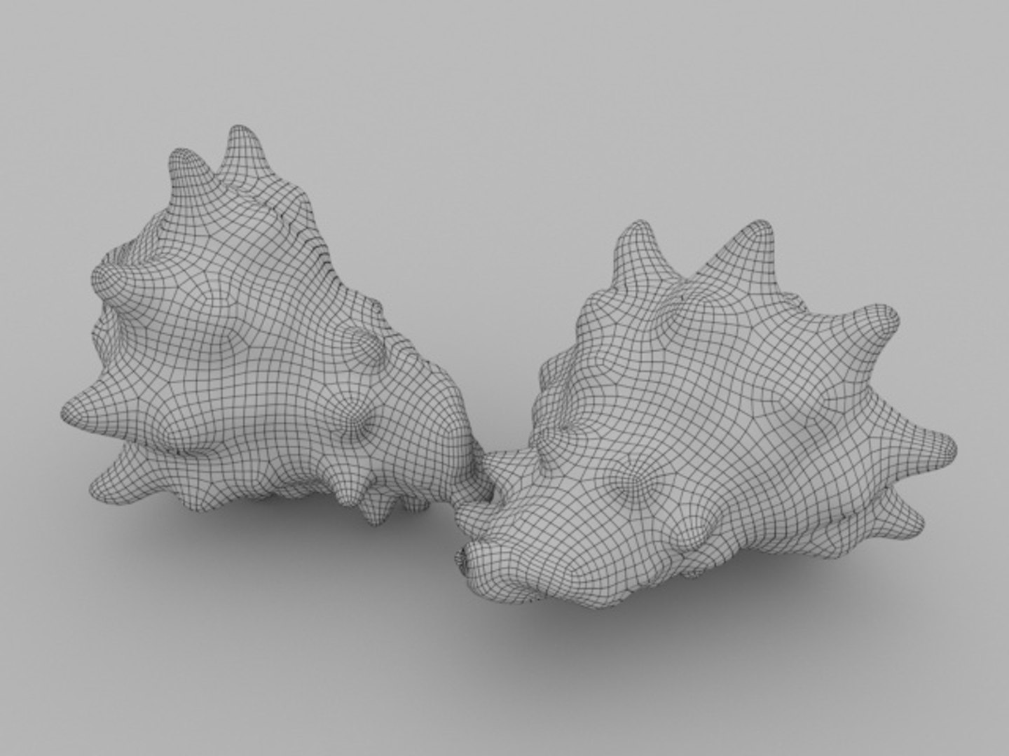 3D sea seashell https://p.turbosquid.com/ts-thumb/K4/XFFY6I/1t1GujFp/render_wire04/jpg/1561588364/1920x1080/fit_q87/f9e9431268783d825b22dfd6bb218d1405829ead/render_wire04.jpg