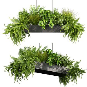 3D plant vol 872 - hanging - balcony - fern - grass model