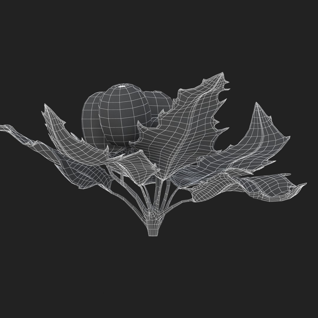 3D holly mistletoe sprig https://p.turbosquid.com/ts-thumb/K4/mtU3wx/BNDAD85R/sub011/jpg/1512560893/1920x1080/fit_q87/49d74088443fa4dfed0220648a4c7ac77487765c/sub011.jpg
