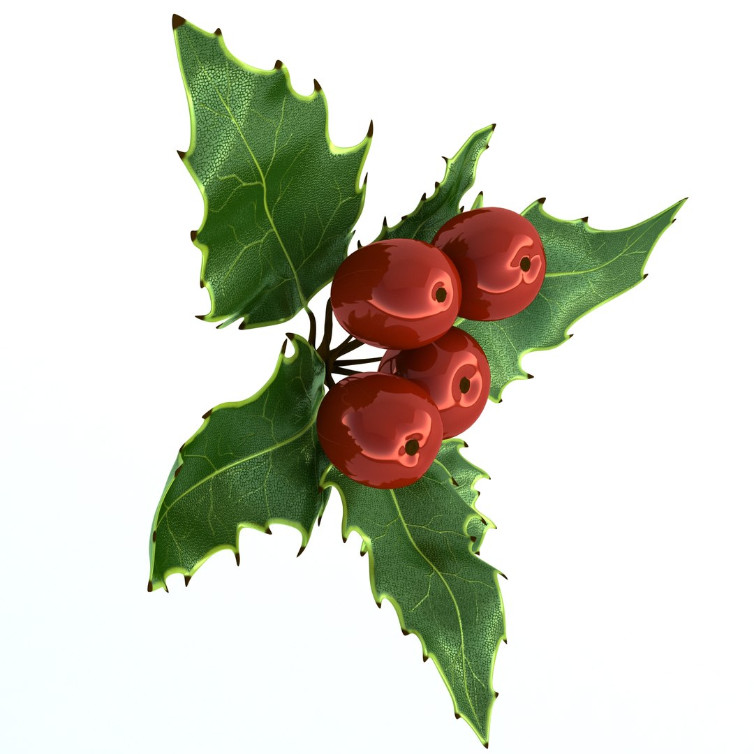 3D holly mistletoe sprig https://p.turbosquid.com/ts-thumb/K4/mtU3wx/BhcqxpIH/019/jpg/1512560893/1920x1080/fit_q87/6ff715a0330b4203668396ca9bc5f2d6165bad5f/019.jpg