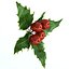 Mistletoe Sprig Holly