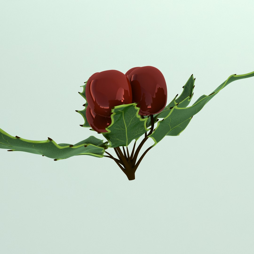 3D holly mistletoe sprig https://p.turbosquid.com/ts-thumb/K4/mtU3wx/DOO8rJor/013/jpg/1512560893/1920x1080/fit_q87/8a1d4f5e2b32f40db5176347e7a1d918f7d06e19/013.jpg
