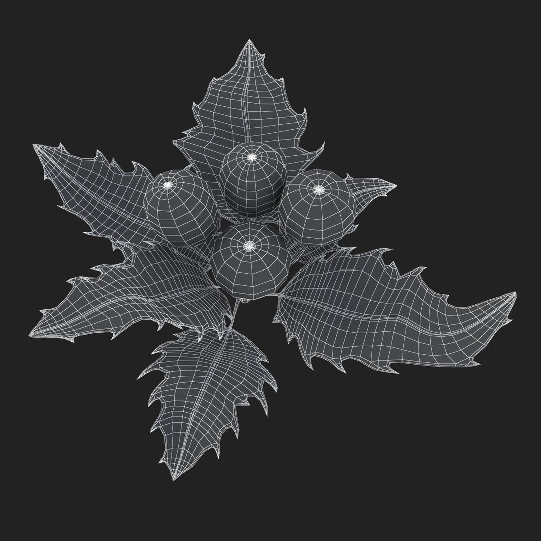 3D holly mistletoe sprig https://p.turbosquid.com/ts-thumb/K4/mtU3wx/E0cy9D3z/sub001/jpg/1512560893/1920x1080/fit_q87/16742d96e8c22acd5f01651a119ab7e19070372a/sub001.jpg