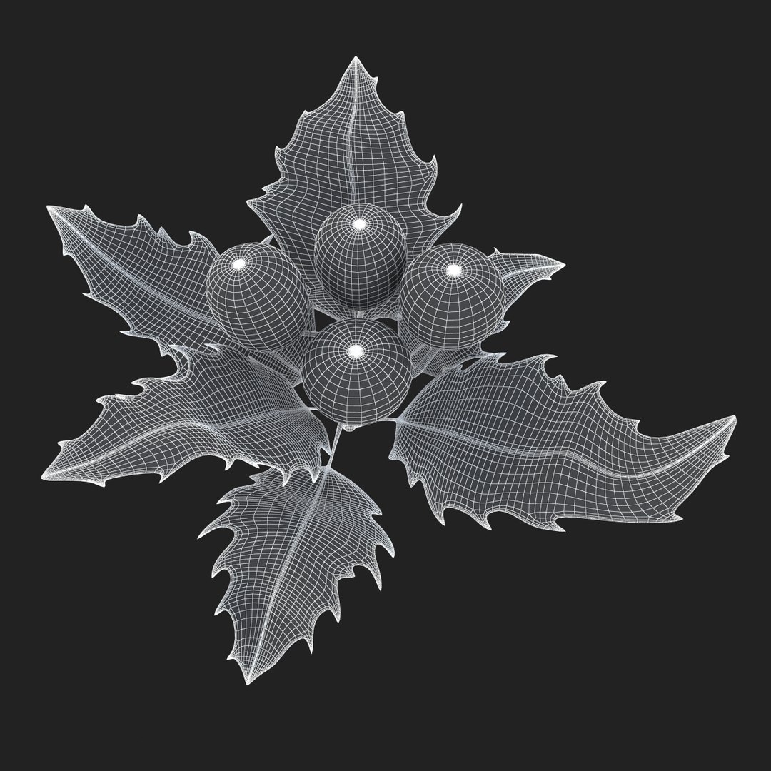 3D holly mistletoe sprig https://p.turbosquid.com/ts-thumb/K4/mtU3wx/EGeupnWo/sub002/jpg/1512560893/1920x1080/fit_q87/65976d5a9f158150cc82dc8f8f9767fad7419ee3/sub002.jpg
