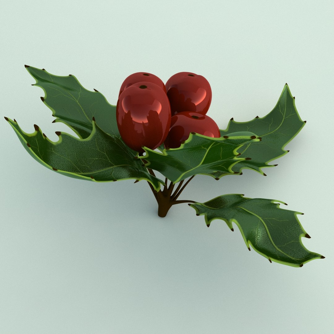 3D holly mistletoe sprig https://p.turbosquid.com/ts-thumb/K4/mtU3wx/F6Sxx109/005/jpg/1512560892/1920x1080/fit_q87/98369c07b7b4b977d4d54af791539b9da8852a18/005.jpg