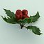 Mistletoe Sprig Holly