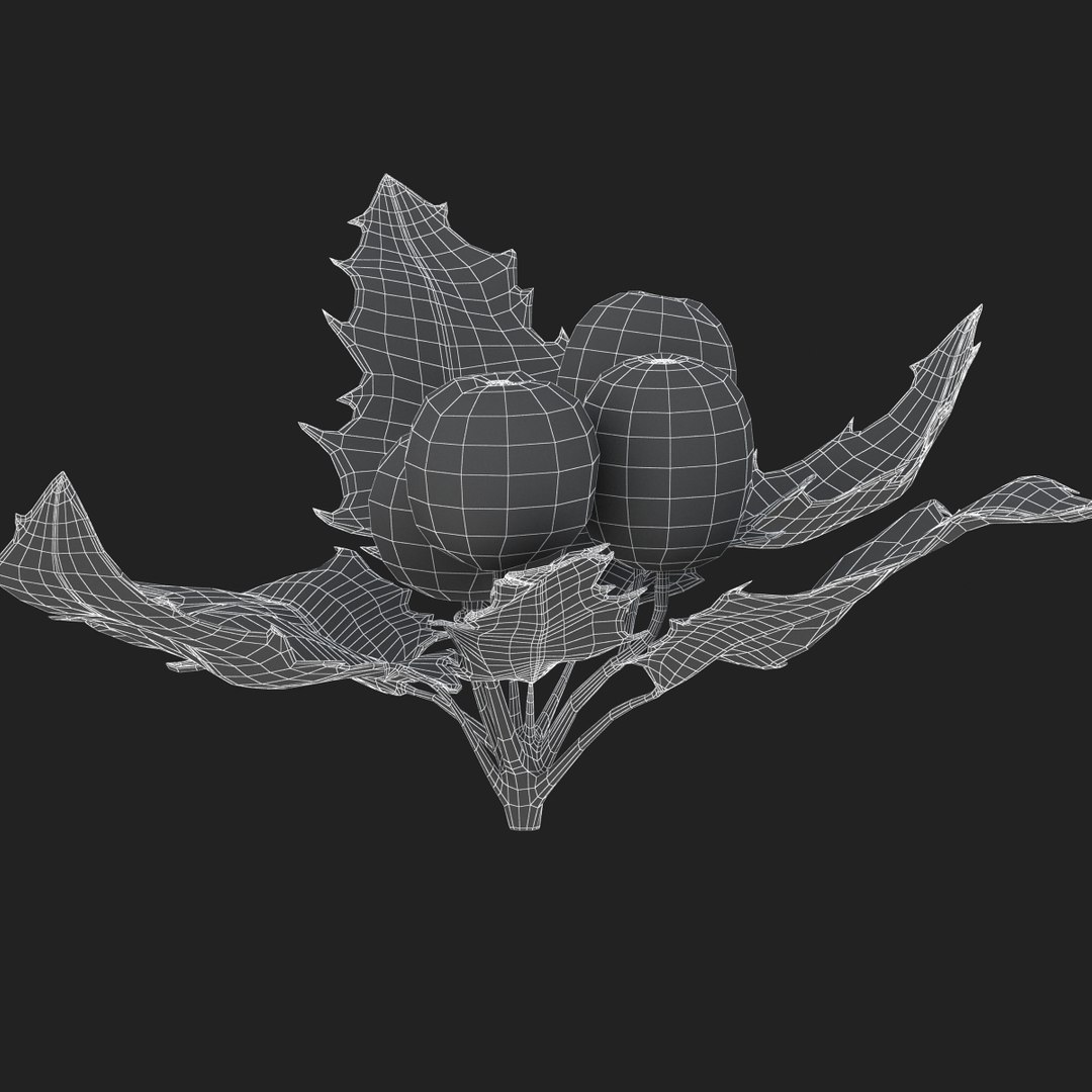 3D holly mistletoe sprig https://p.turbosquid.com/ts-thumb/K4/mtU3wx/HvKHeqYx/sub013/jpg/1512560893/1920x1080/fit_q87/13526903e81f97f9dd4c97bc3c62040f9b5cb872/sub013.jpg
