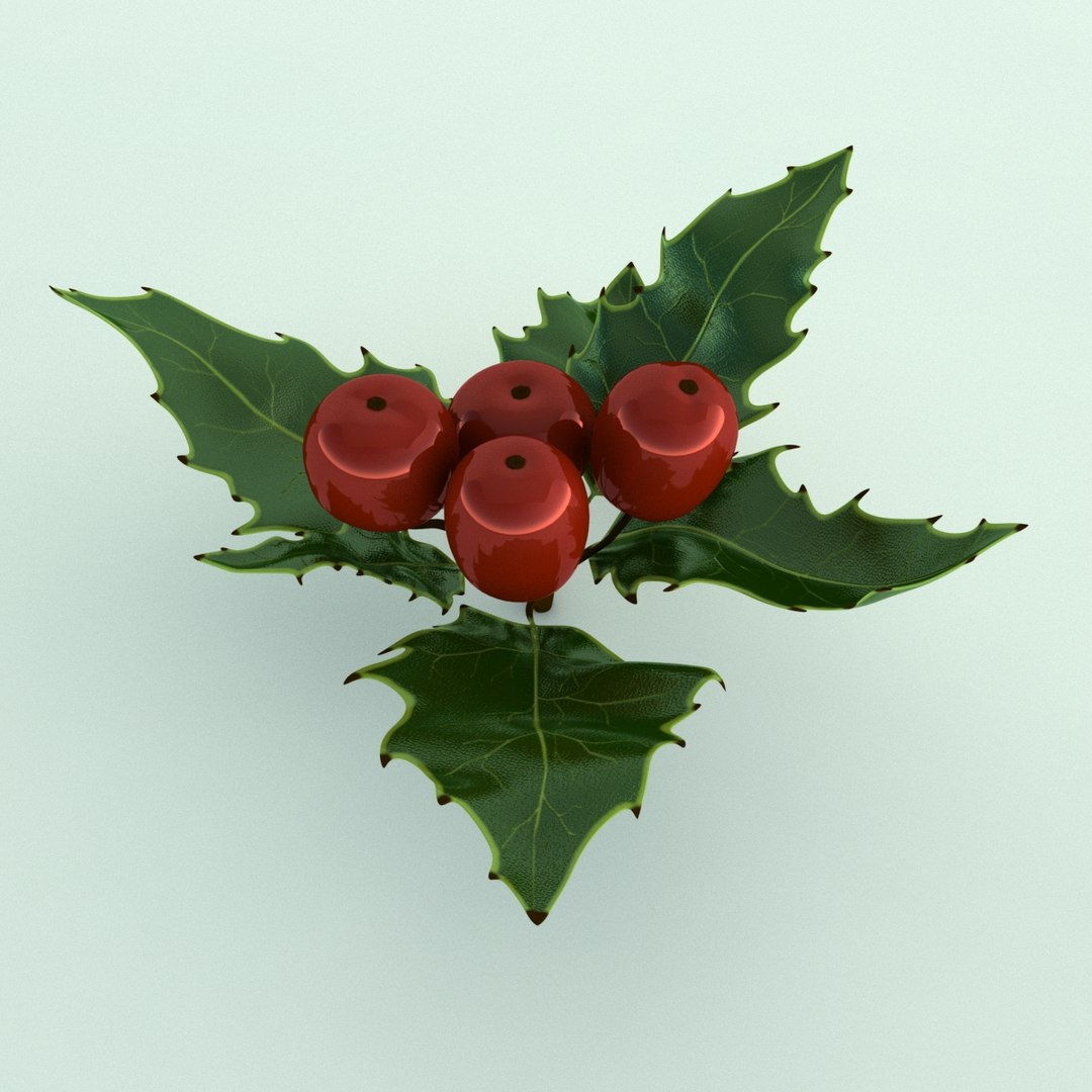 3D holly mistletoe sprig https://p.turbosquid.com/ts-thumb/K4/mtU3wx/JDX8qBxM/002/jpg/1512560892/1920x1080/fit_q87/d7dfda43af5fcd2a5b170e3f1a46869111c7e93a/002.jpg
