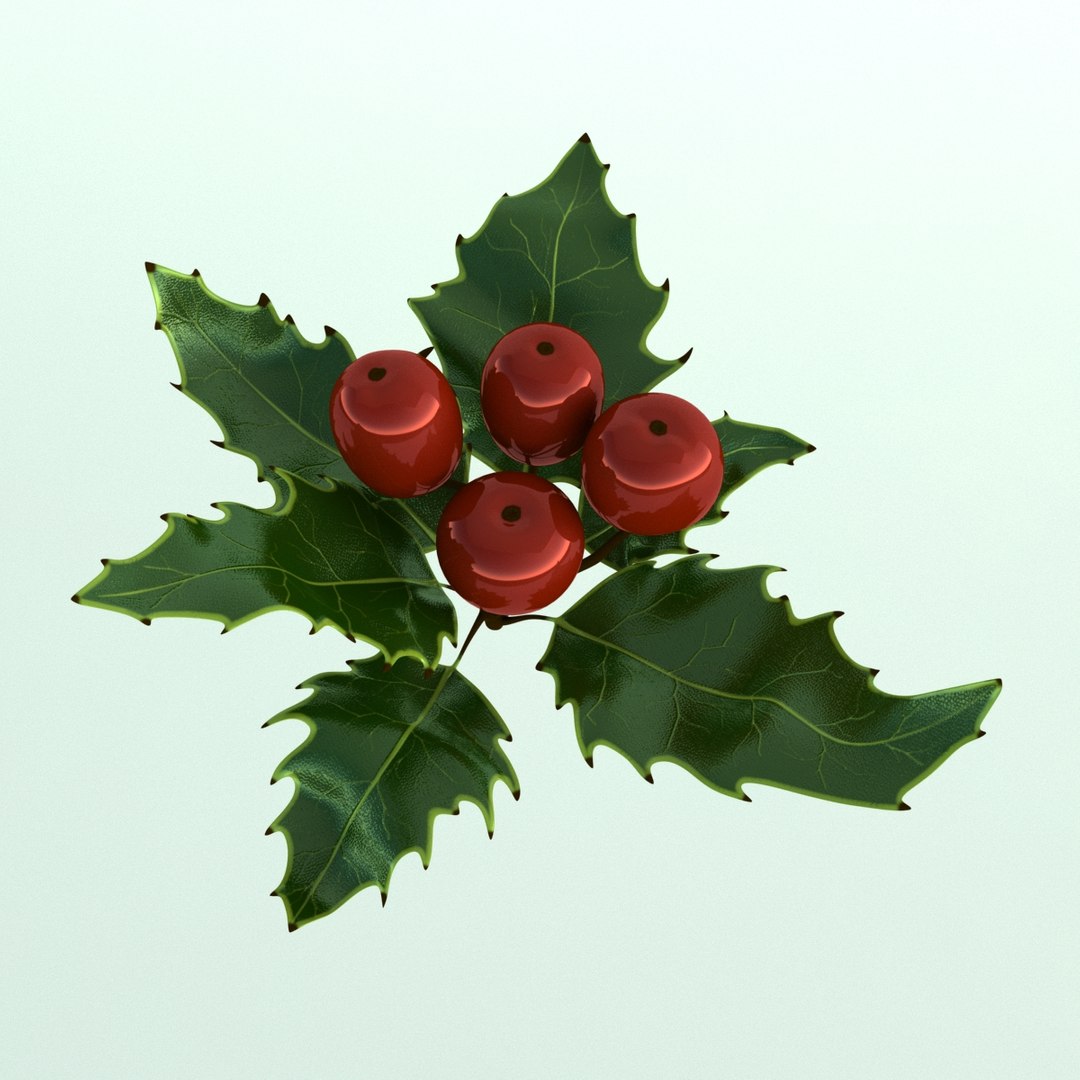 3D holly mistletoe sprig https://p.turbosquid.com/ts-thumb/K4/mtU3wx/P4YtCyp5/008/jpg/1512560892/1920x1080/fit_q87/c9f7f36e8714ed5bc0cbf0448aed29d5f63595ce/008.jpg