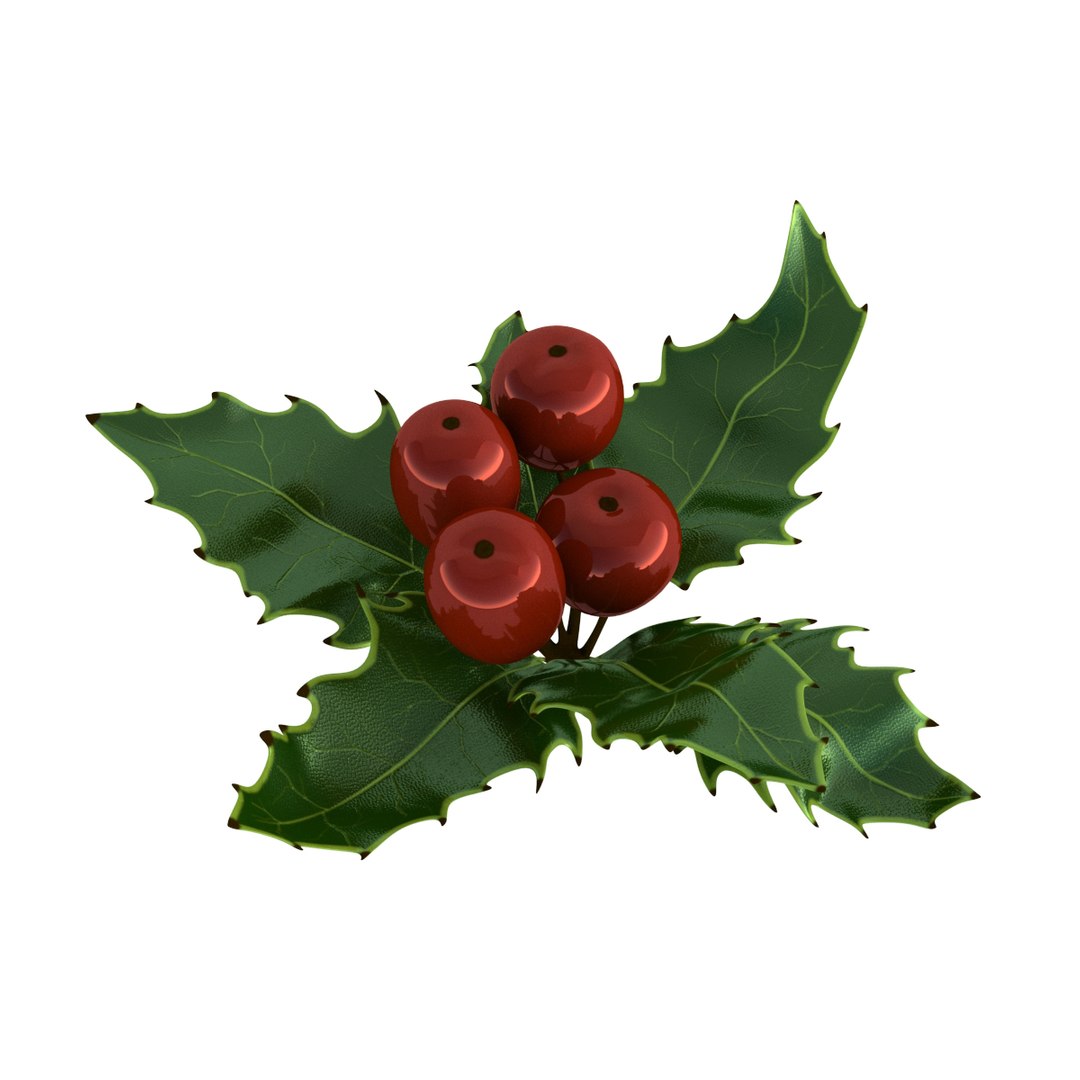 3D holly mistletoe sprig https://p.turbosquid.com/ts-thumb/K4/mtU3wx/RR9ttxcQ/018/jpg/1512560893/1920x1080/fit_q87/9c894199dd262c7aff4e4ad23b0487498ae2dffc/018.jpg