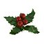 Mistletoe Sprig Holly