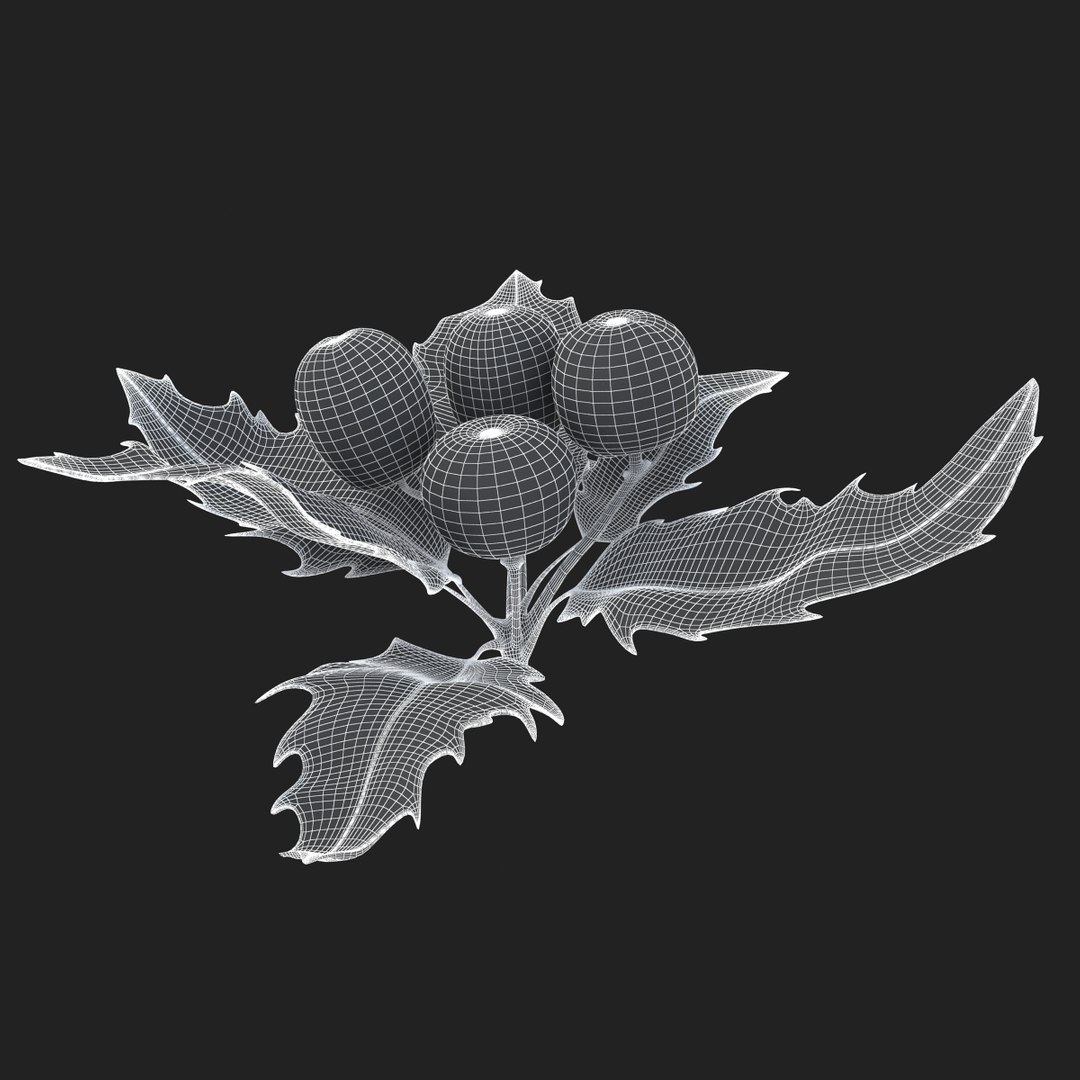 3D holly mistletoe sprig https://p.turbosquid.com/ts-thumb/K4/mtU3wx/Su92L0Xc/sub004/jpg/1512560893/1920x1080/fit_q87/7f96e4edc8a61545d5b1f80a69765d6cbde024d1/sub004.jpg