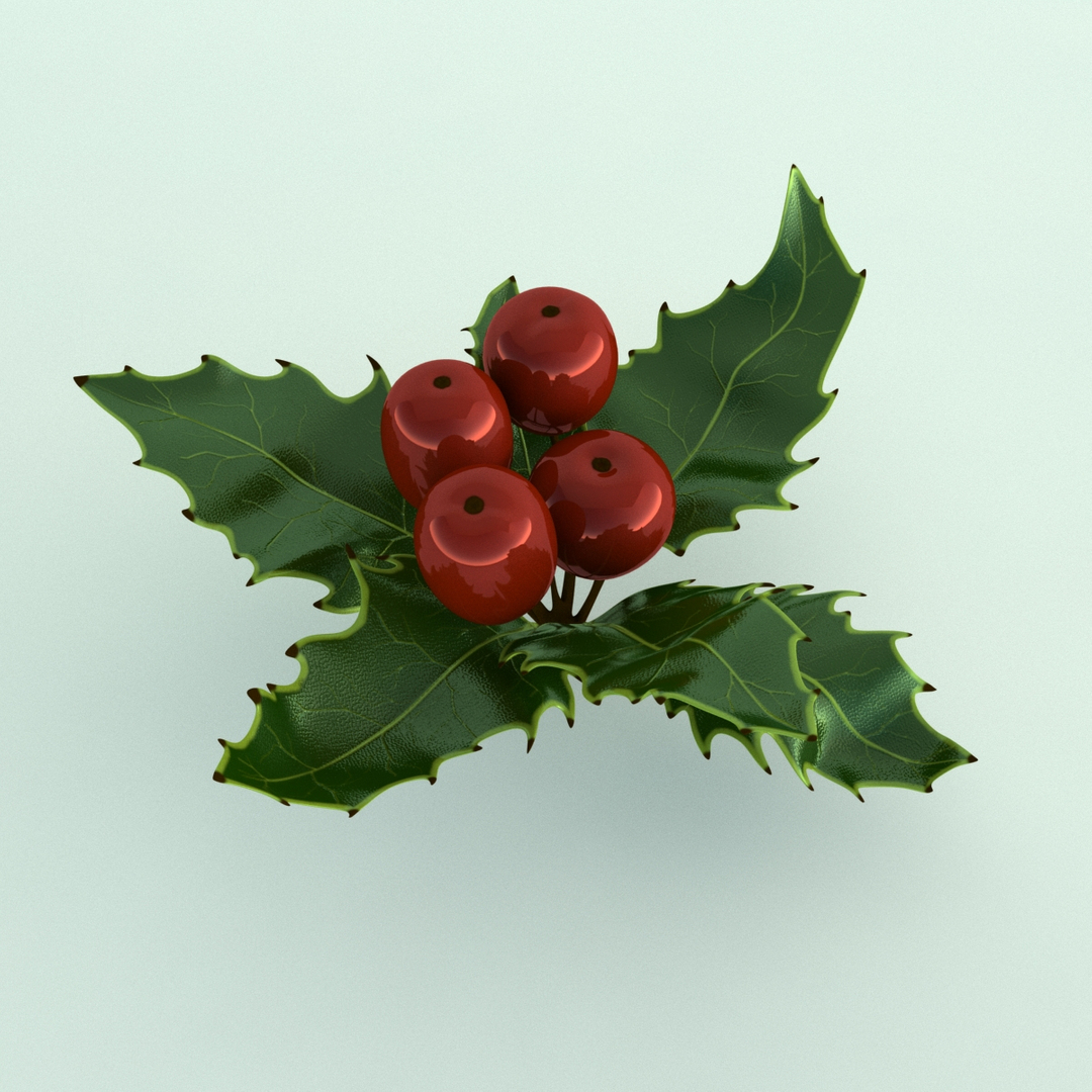 3D holly mistletoe sprig https://p.turbosquid.com/ts-thumb/K4/mtU3wx/TxwkWXX0/image/jpg/1512560817/1920x1080/turn_fit_q99/d926ce5d2cb52da387c85701694612ab0658fa19/image-1.jpg