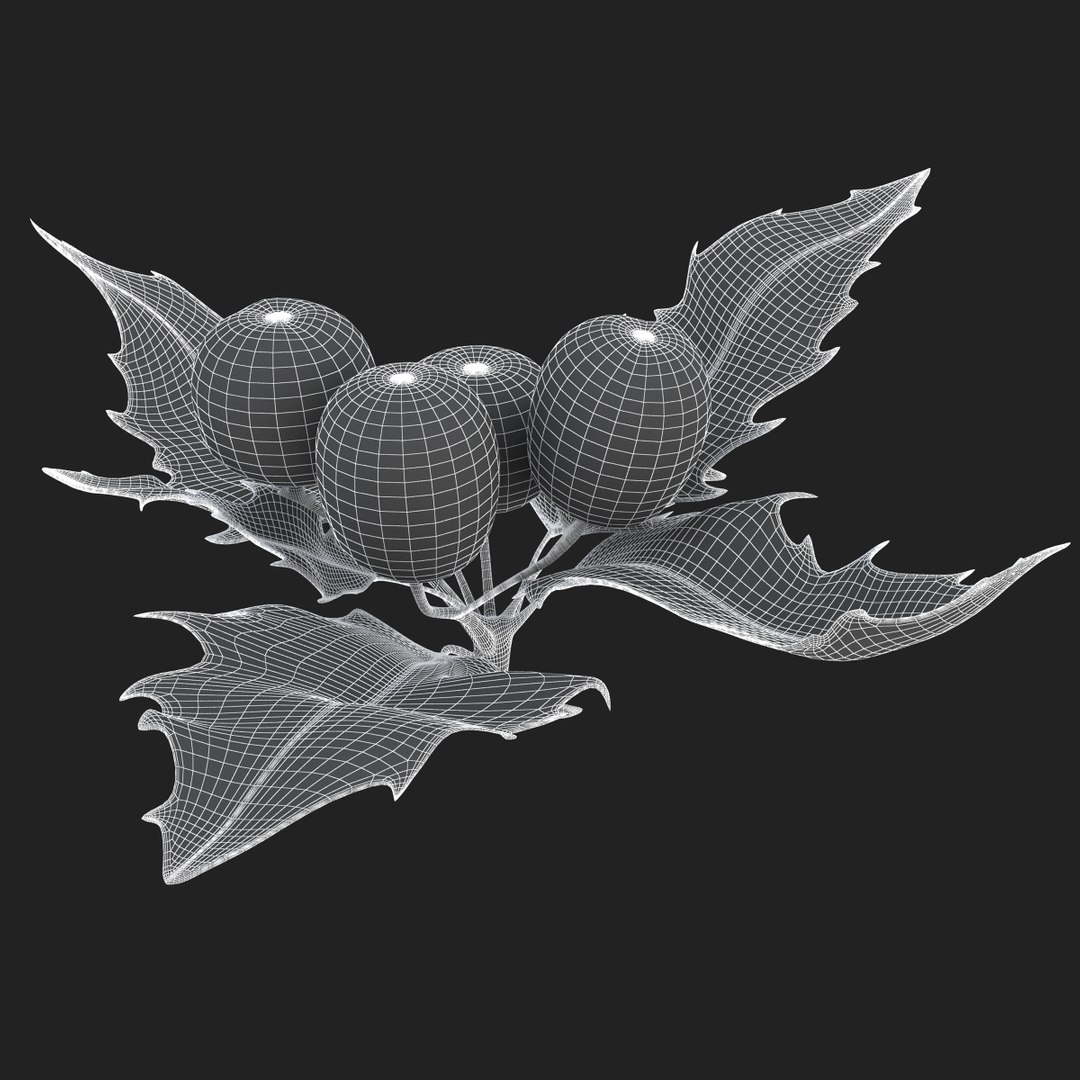 3D holly mistletoe sprig https://p.turbosquid.com/ts-thumb/K4/mtU3wx/UqHBeWjy/sub006/jpg/1512560893/1920x1080/fit_q87/cca85f97d676d03ff3f4d76489f844df3797cd6e/sub006.jpg