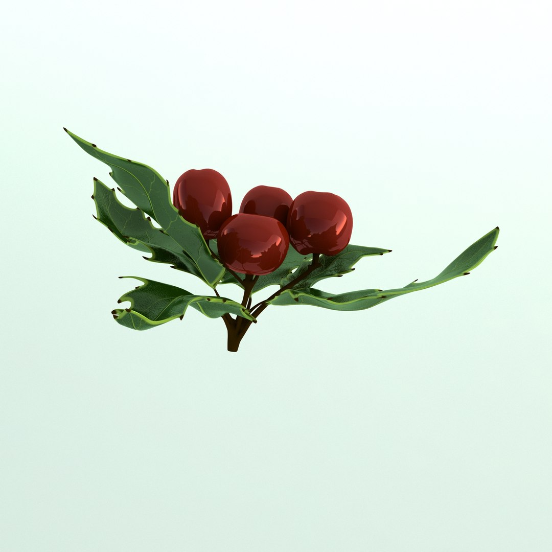 3D holly mistletoe sprig https://p.turbosquid.com/ts-thumb/K4/mtU3wx/X05LEUPt/011/jpg/1512560892/1920x1080/fit_q87/7b344718c6842d1542dfb7a4519dbed383f150a9/011.jpg