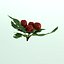 Mistletoe Sprig Holly