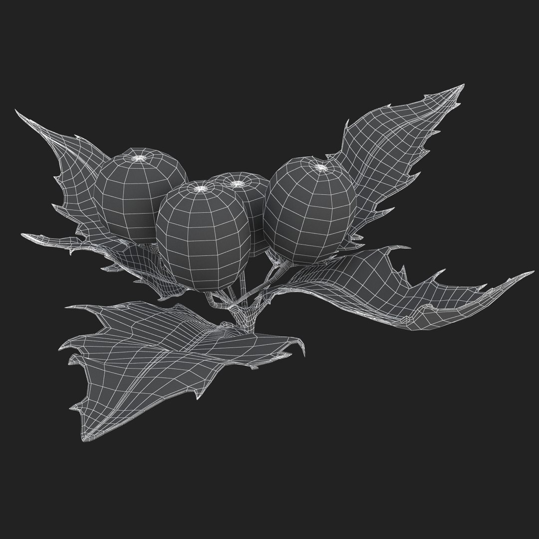 3D holly mistletoe sprig https://p.turbosquid.com/ts-thumb/K4/mtU3wx/X8224vGC/sub005/jpg/1512560893/1920x1080/fit_q87/4859f3b7b0619ecb7325dd5ec5760d69485ce19d/sub005.jpg