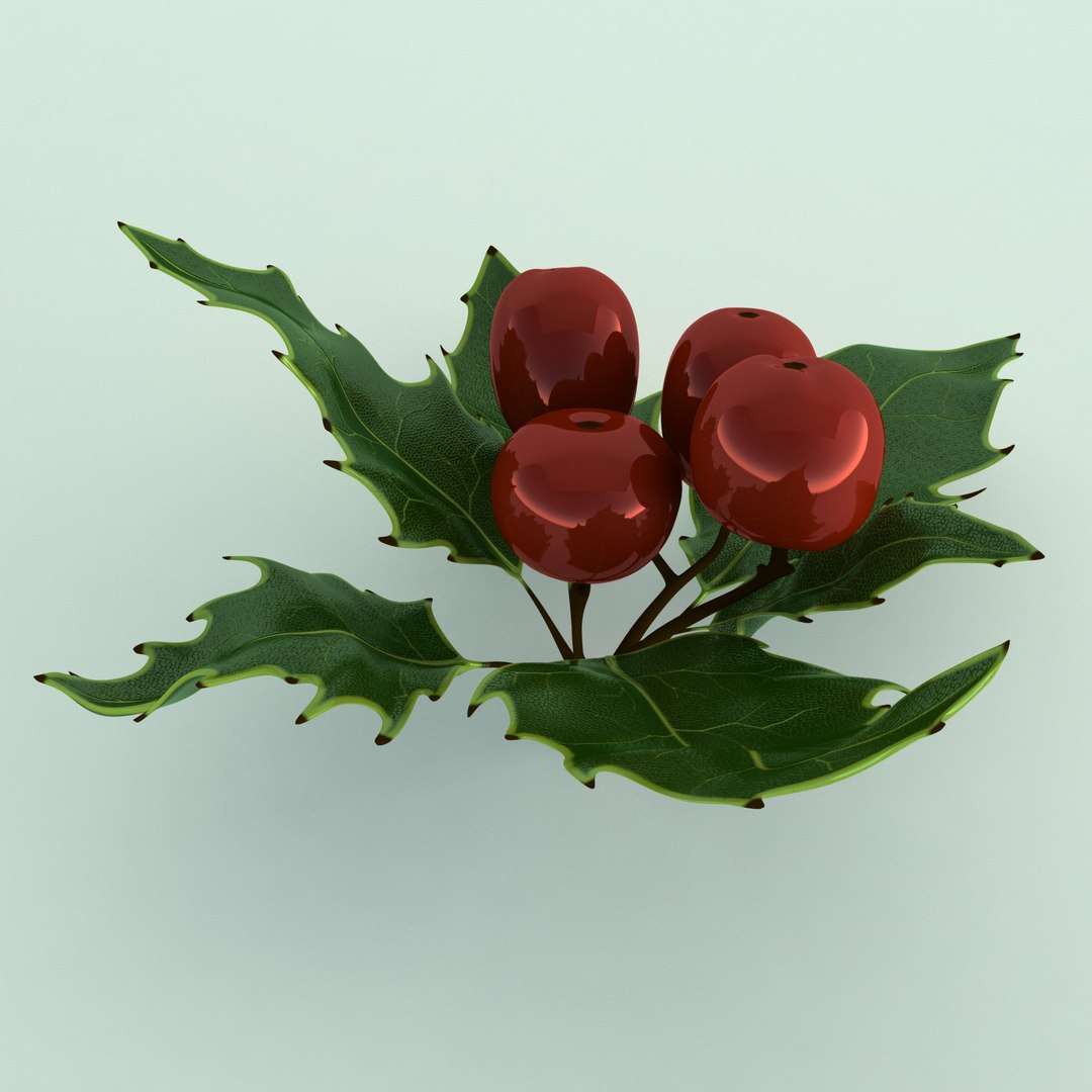 3D holly mistletoe sprig https://p.turbosquid.com/ts-thumb/K4/mtU3wx/ZjrQe1l3/016/jpg/1512560893/1920x1080/fit_q87/abe20fdcbc30959ab5fefa67321df19ef52d95b0/016.jpg