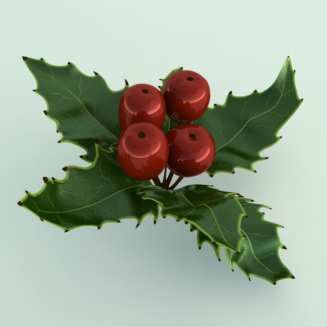 3D holly mistletoe sprig https://p.turbosquid.com/ts-thumb/K4/mtU3wx/a1PwoOu6/006/jpg/1512560892/1920x1080/fit_q87/f3cde179fd0d4cb1b4f8caa2d60671f1e1f63c5d/006.jpg