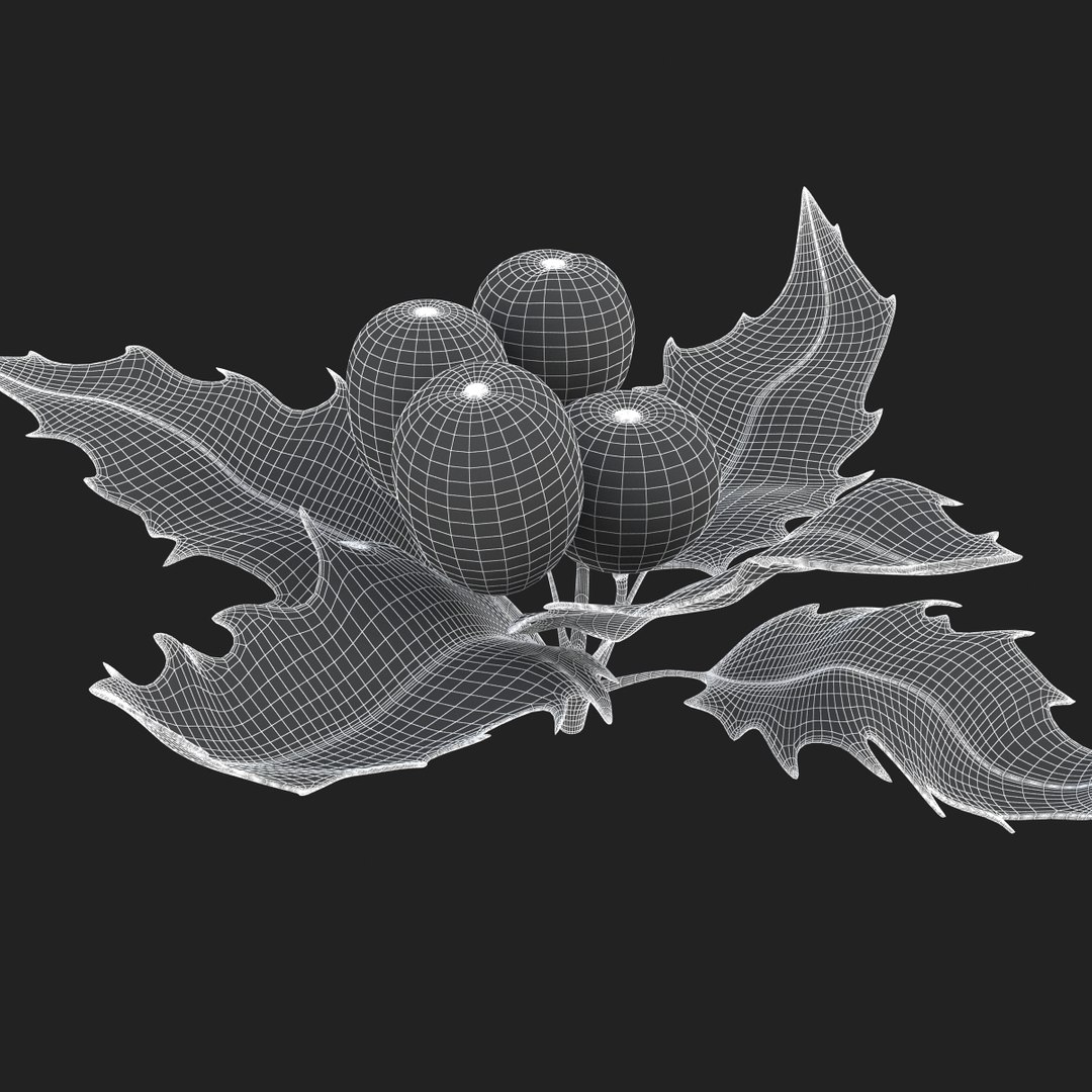 3D holly mistletoe sprig https://p.turbosquid.com/ts-thumb/K4/mtU3wx/bsNPETvG/sub010/jpg/1512560893/1920x1080/fit_q87/140c9abd4b44ab97b14f7a857c13b8c86c77823f/sub010.jpg
