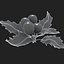 Mistletoe Sprig Holly