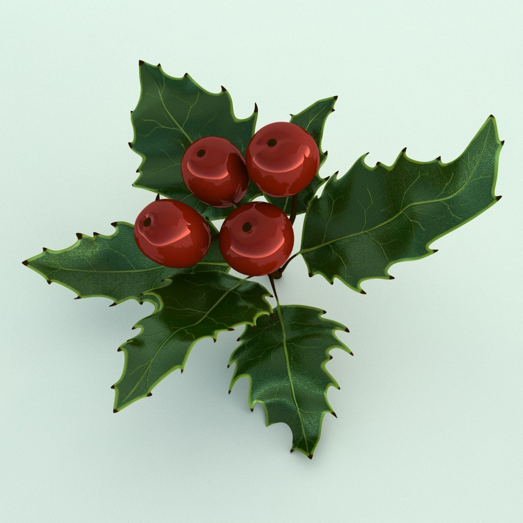3D holly mistletoe sprig https://p.turbosquid.com/ts-thumb/K4/mtU3wx/cVNEcnRe/014/jpg/1512560893/1920x1080/fit_q87/0f57f17200b247942991f2d1a2221fe22e5a3bca/014.jpg