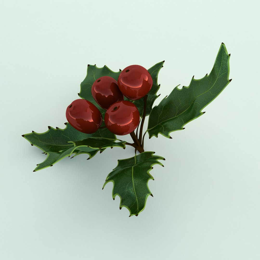 3D holly mistletoe sprig https://p.turbosquid.com/ts-thumb/K4/mtU3wx/gFIII2VV/010/jpg/1512560892/1920x1080/fit_q87/61a691bc9262d73ad4b50f5ea47f49df753c3963/010.jpg