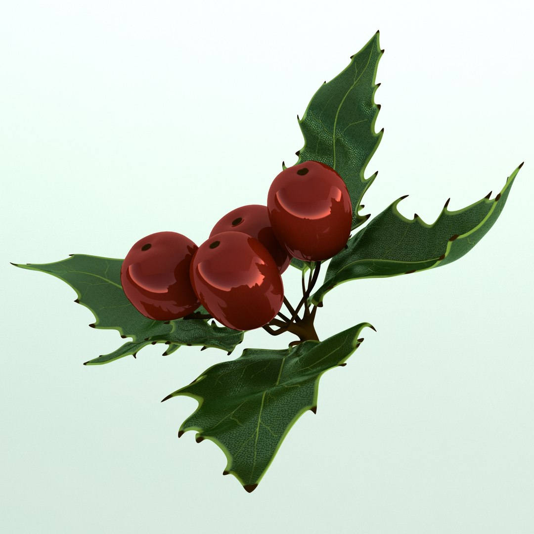 3D holly mistletoe sprig https://p.turbosquid.com/ts-thumb/K4/mtU3wx/gec4xVju/017/jpg/1512560893/1920x1080/fit_q87/783192804da1dc6d8b7072ab465f0c5081cb0fb1/017.jpg
