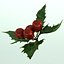 Mistletoe Sprig Holly