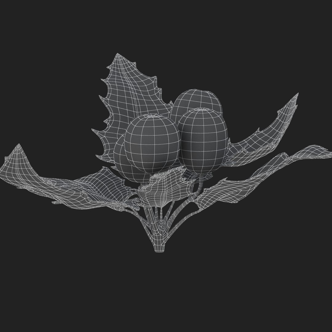 3D holly mistletoe sprig https://p.turbosquid.com/ts-thumb/K4/mtU3wx/ictCLRJV/sub014/jpg/1512560893/1920x1080/fit_q87/cee62d3fead75a9794934f9b8e927517c02b3faa/sub014.jpg