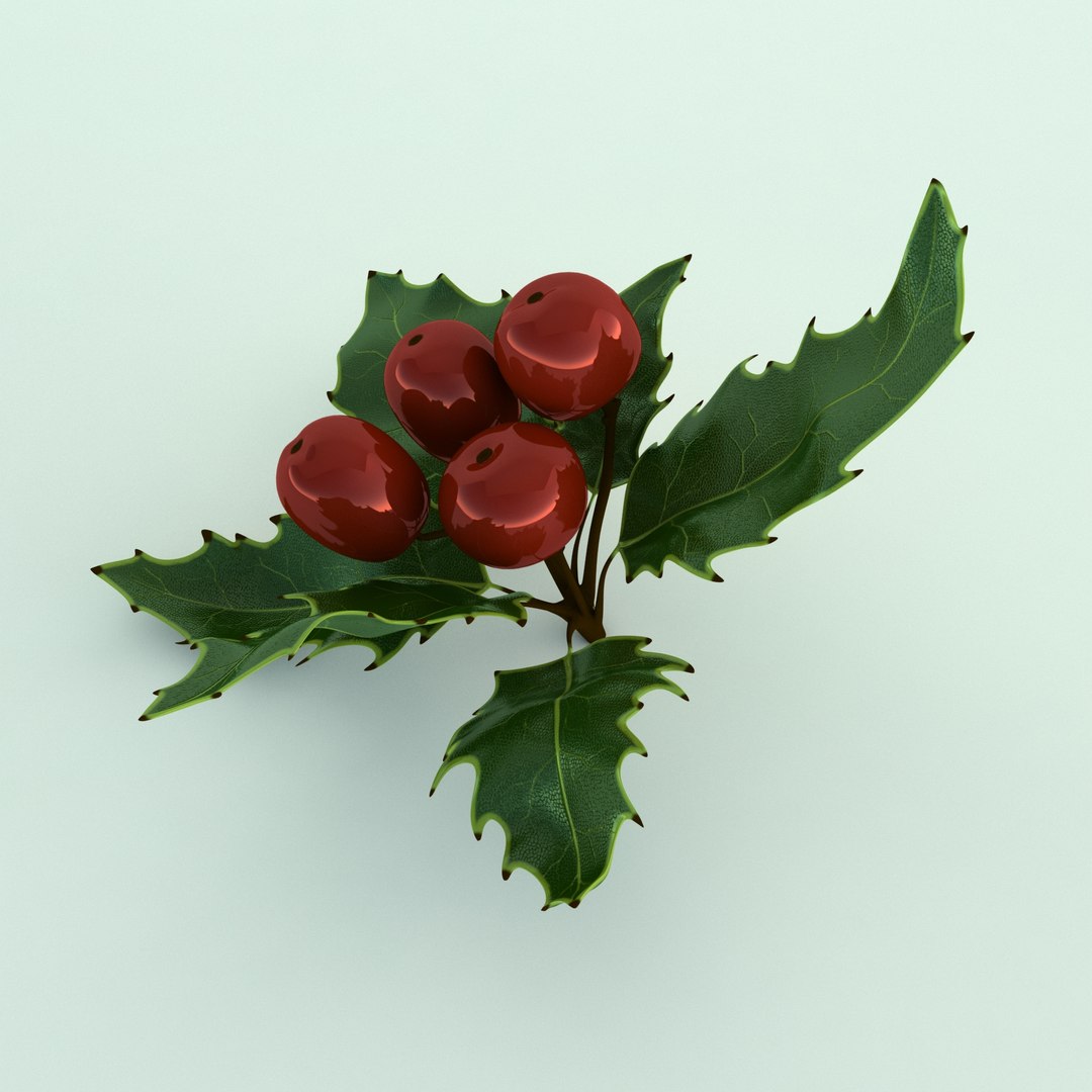 3D holly mistletoe sprig https://p.turbosquid.com/ts-thumb/K4/mtU3wx/iubBQMwF/009/jpg/1512560892/1920x1080/fit_q87/a1c94a4d1c3f2f807835f559ae881a96625801f2/009.jpg