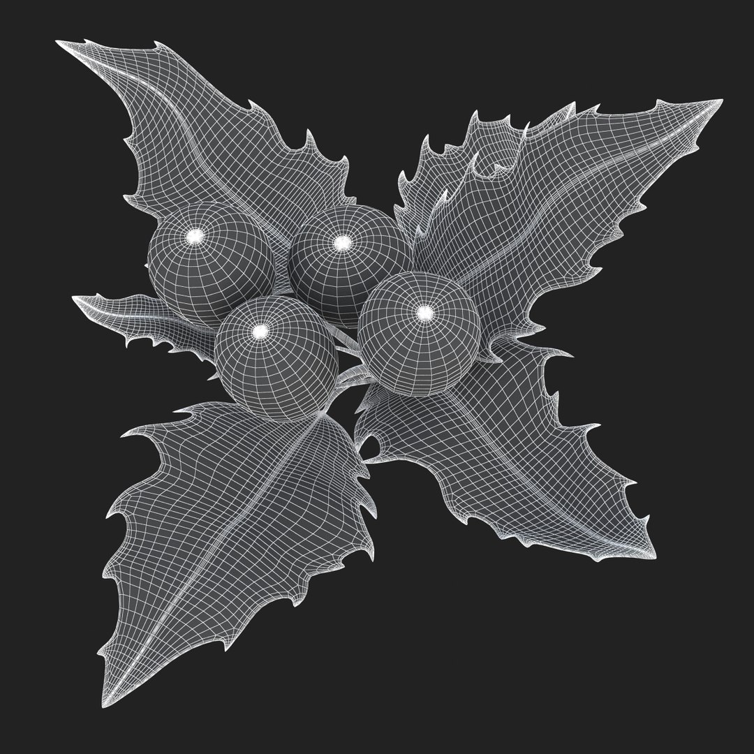 3D holly mistletoe sprig https://p.turbosquid.com/ts-thumb/K4/mtU3wx/jZjLwbw0/sub008/jpg/1512560893/1920x1080/fit_q87/67ee67e9a233670b3ea22d30bea1832246e9ddcc/sub008.jpg