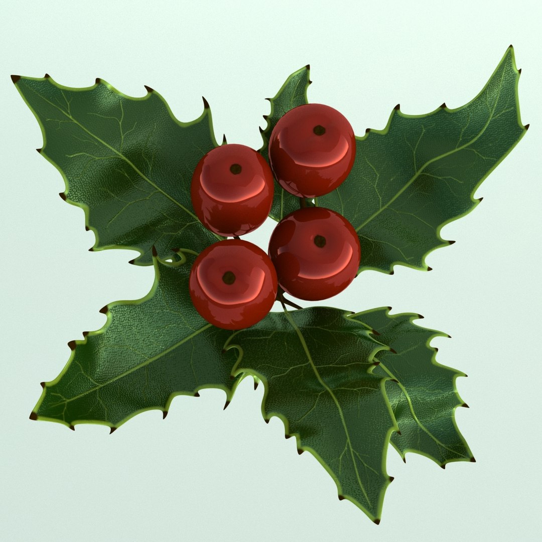 3D holly mistletoe sprig https://p.turbosquid.com/ts-thumb/K4/mtU3wx/jkkzWjYd/007/jpg/1512560892/1920x1080/fit_q87/5004b21a65c6a58bd8d32812bcf54e0a864860b6/007.jpg