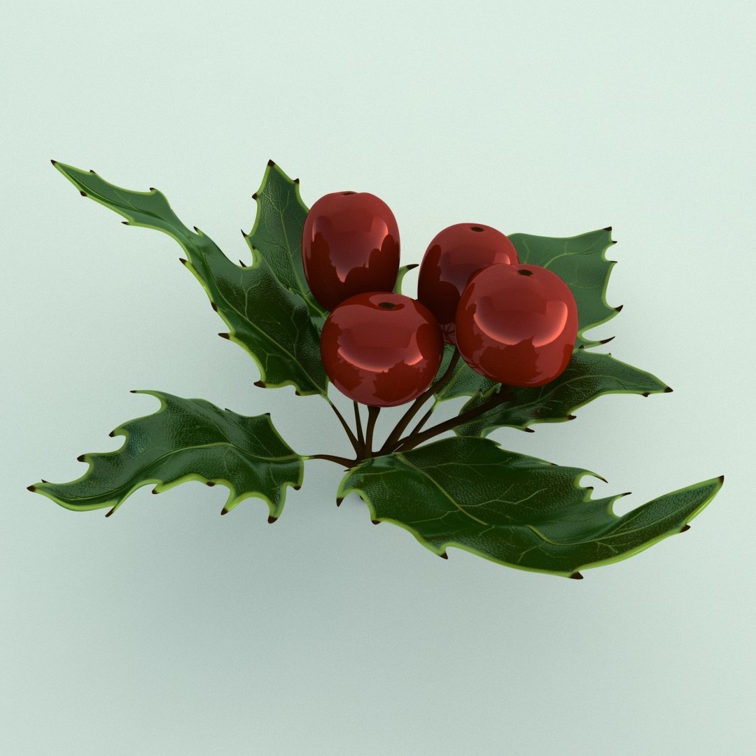 3D holly mistletoe sprig https://p.turbosquid.com/ts-thumb/K4/mtU3wx/jwuNfzMw/004/jpg/1512560892/1920x1080/fit_q87/4ac827b07cf3064e373c8fe62b71b4f658d99294/004.jpg